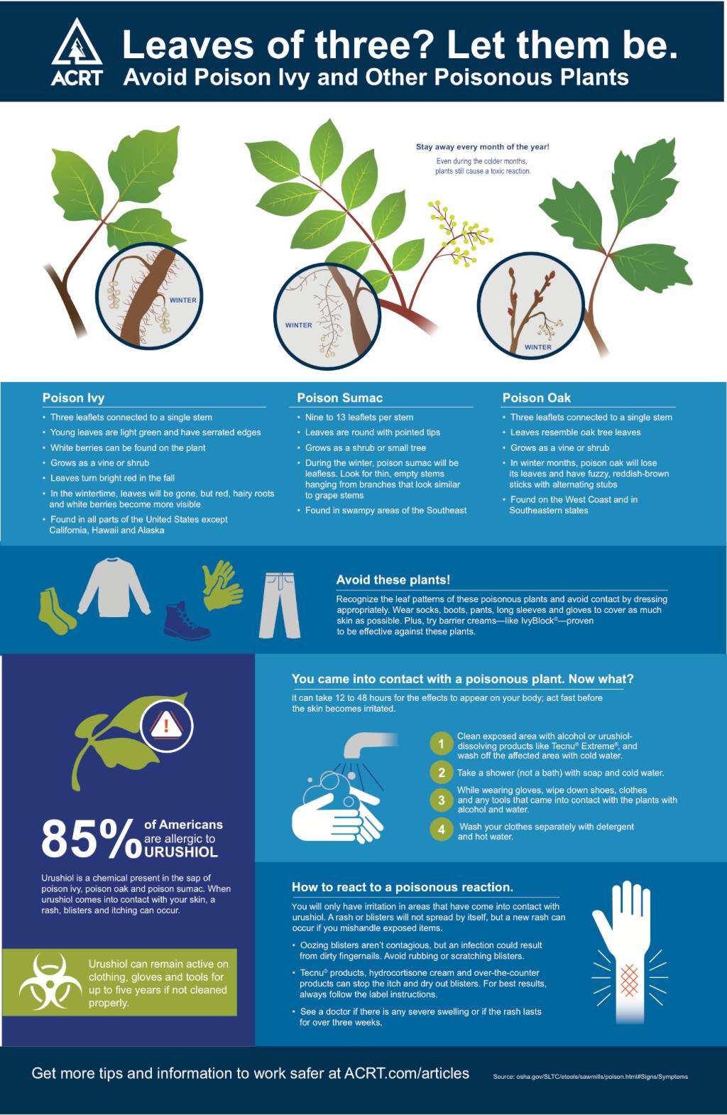 Poison Ivy Facts